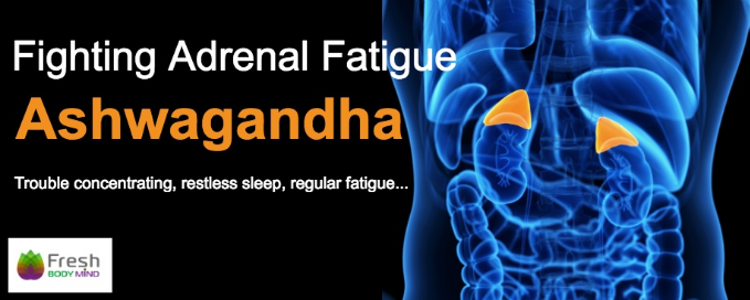 FIGHTING ADRENAL FATIGUE WITH ASHWAGANDHA