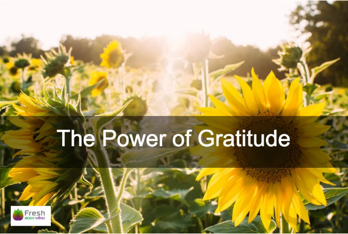 THE POWER OF GRATITUDE