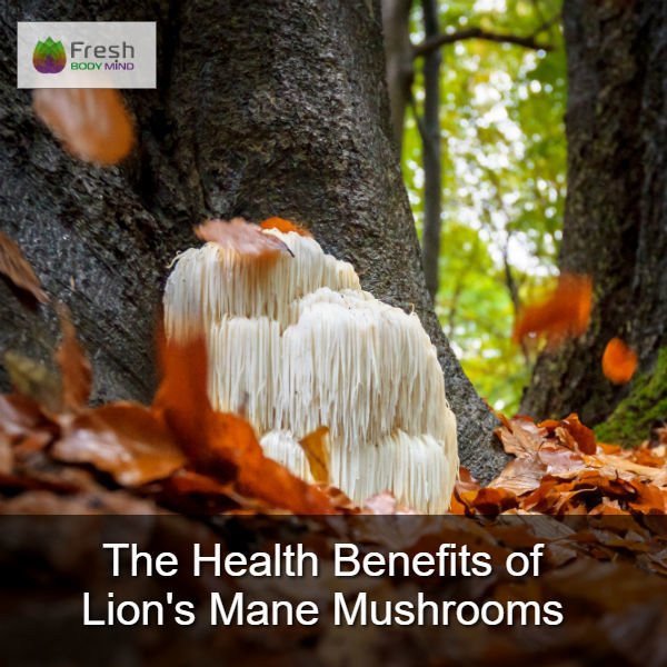 THE HEALTH BENEFITS OF LION'S MANE MUSHROOMS - Fresh Healthcare