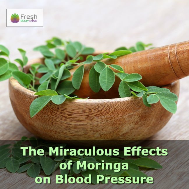 THE MIRACULOUS EFFECT OF MORINGA ON BLOOD PRESSURE - Fresh Healthcare
