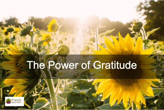 THE POWER OF GRATITUDE - Fresh Healthcare