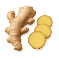 Ginger Root