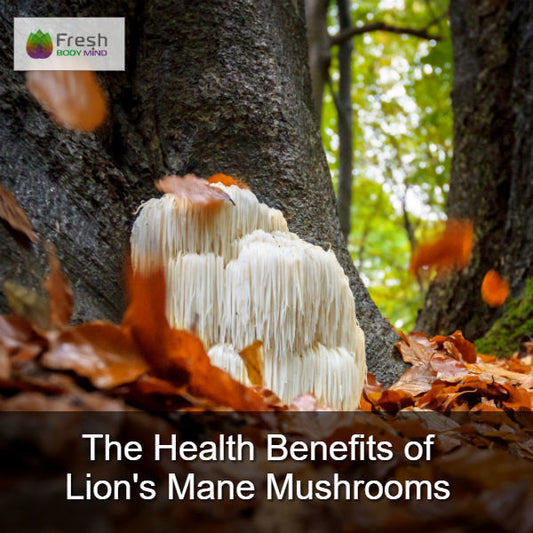 THE HEALTH BENEFITS OF LION'S MANE MUSHROOMS