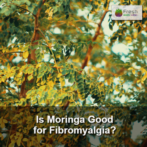 IS MORINGA GOOD FOR FIBROMYLAGIA?