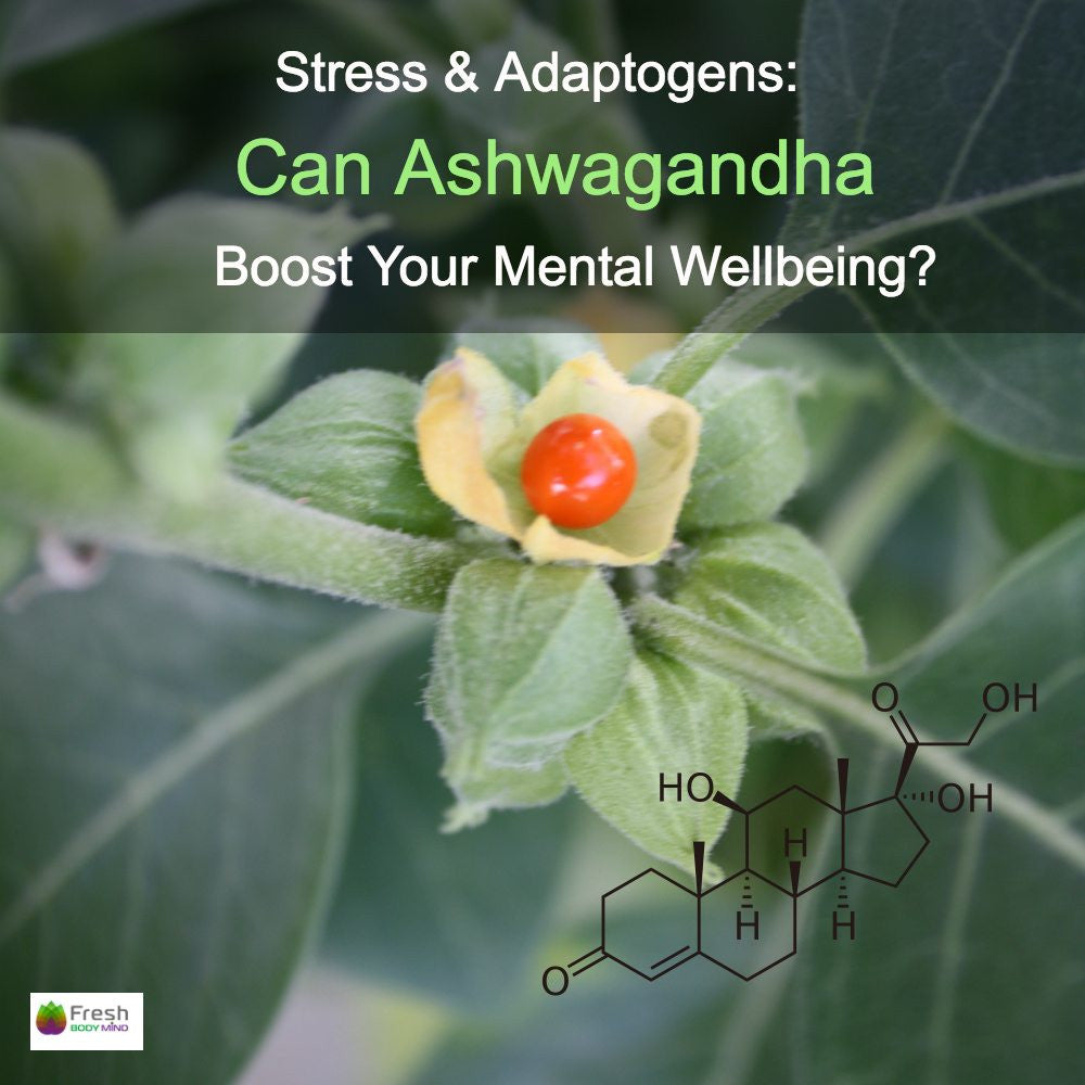 STRESS & ADAPTOGENS: CAN ASHWAGANDHA BOODT YOUR MENTAL WELL BEING?