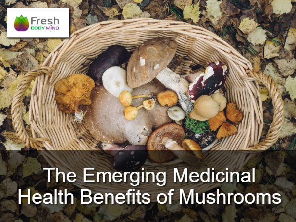 THE EMERGING MEDICINAL HEALTH BENEFITS OF MUSHROOMS
