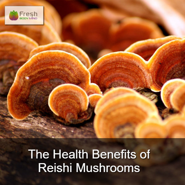 THE MANY HEALTH BENEFITS OF REISHI MUSHROOMS