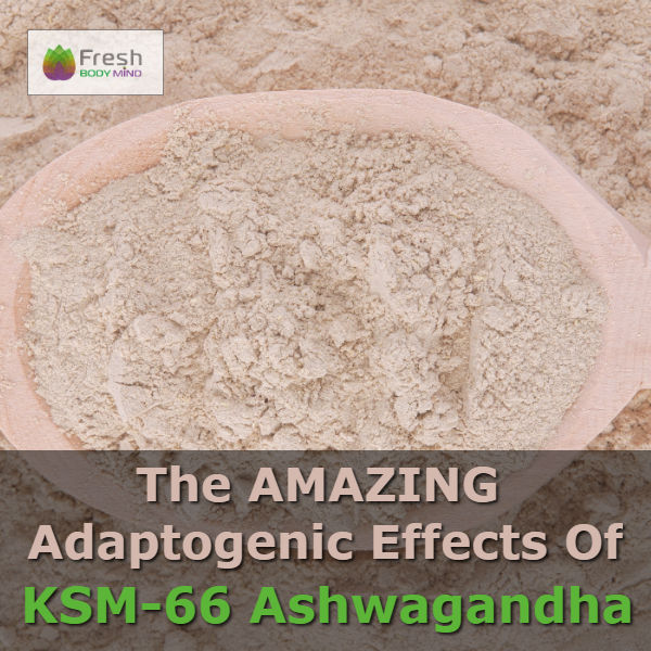 THE AMAZING ADAPTOGENIC BENEFITS OF KSM-66 ASHWAGANDHA