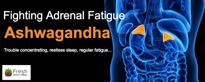 FIGHTING ADRENAL FATIGUE WITH ASHWAGANDHA - Fresh Healthcare