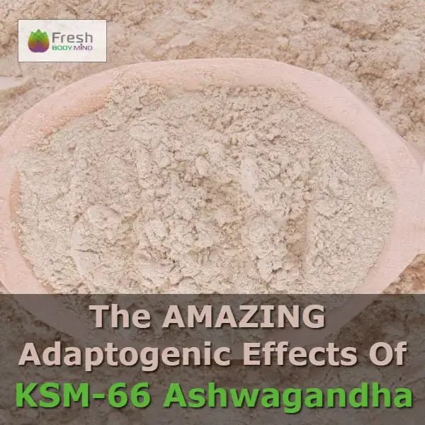 THE AMAZING ADAPTOGENIC BENEFITS OF KSM-66 ASHWAGANDHA - Fresh Healthcare