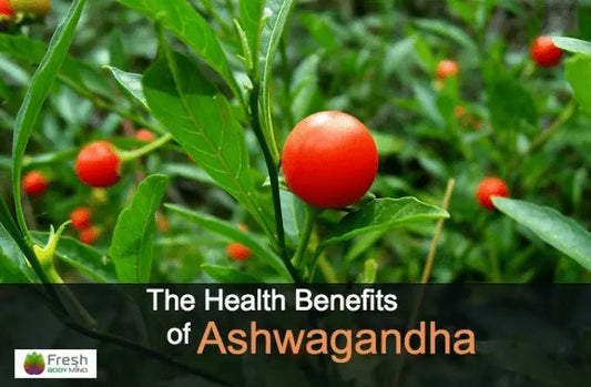 THE HEALTH BENEFITS OF ASHWAGANDHA - Fresh Healthcare