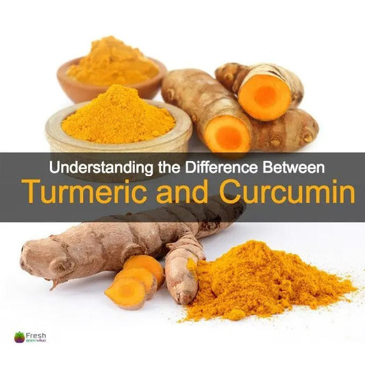 UNDERSTANING THE DIFFERENCE BETWEEN TURMERIC AND CURCUMIN - Fresh Healthcare