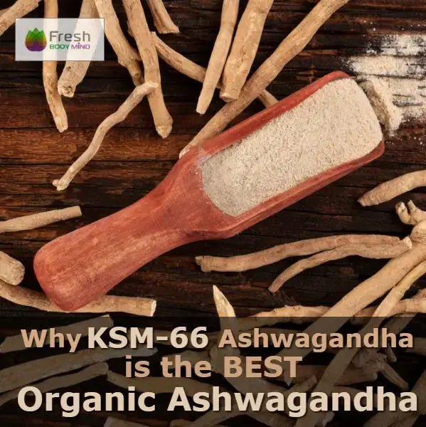 WHY KSM-66 IS THE BEST ORGANIC ASHWAGANDHA - Fresh Healthcare